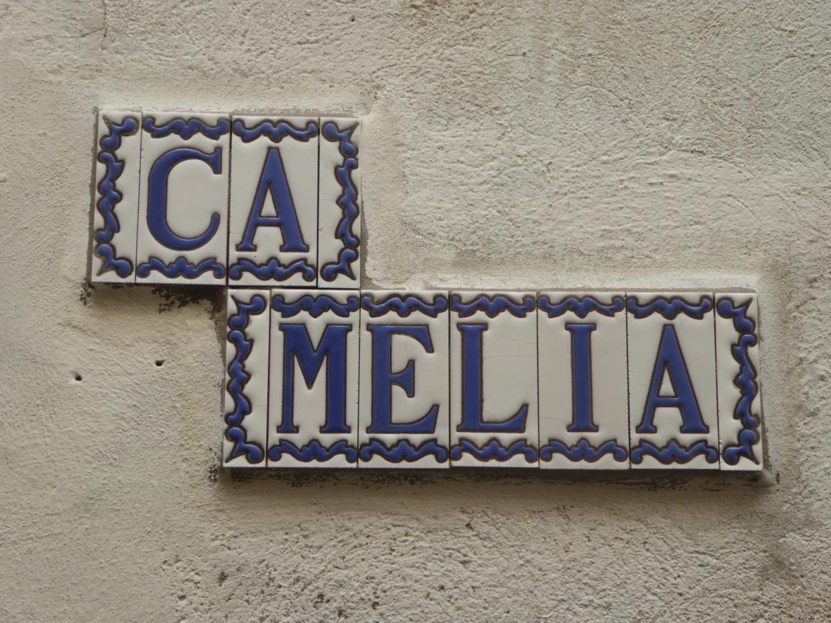Ca Melia Bedigliora Apartment Bagian luar foto